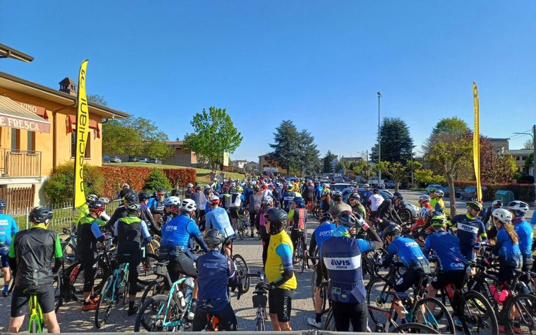 Ciclismo, Avis Pavia: grande successo della 38^ Mediofondo del Piccolo Stelvio